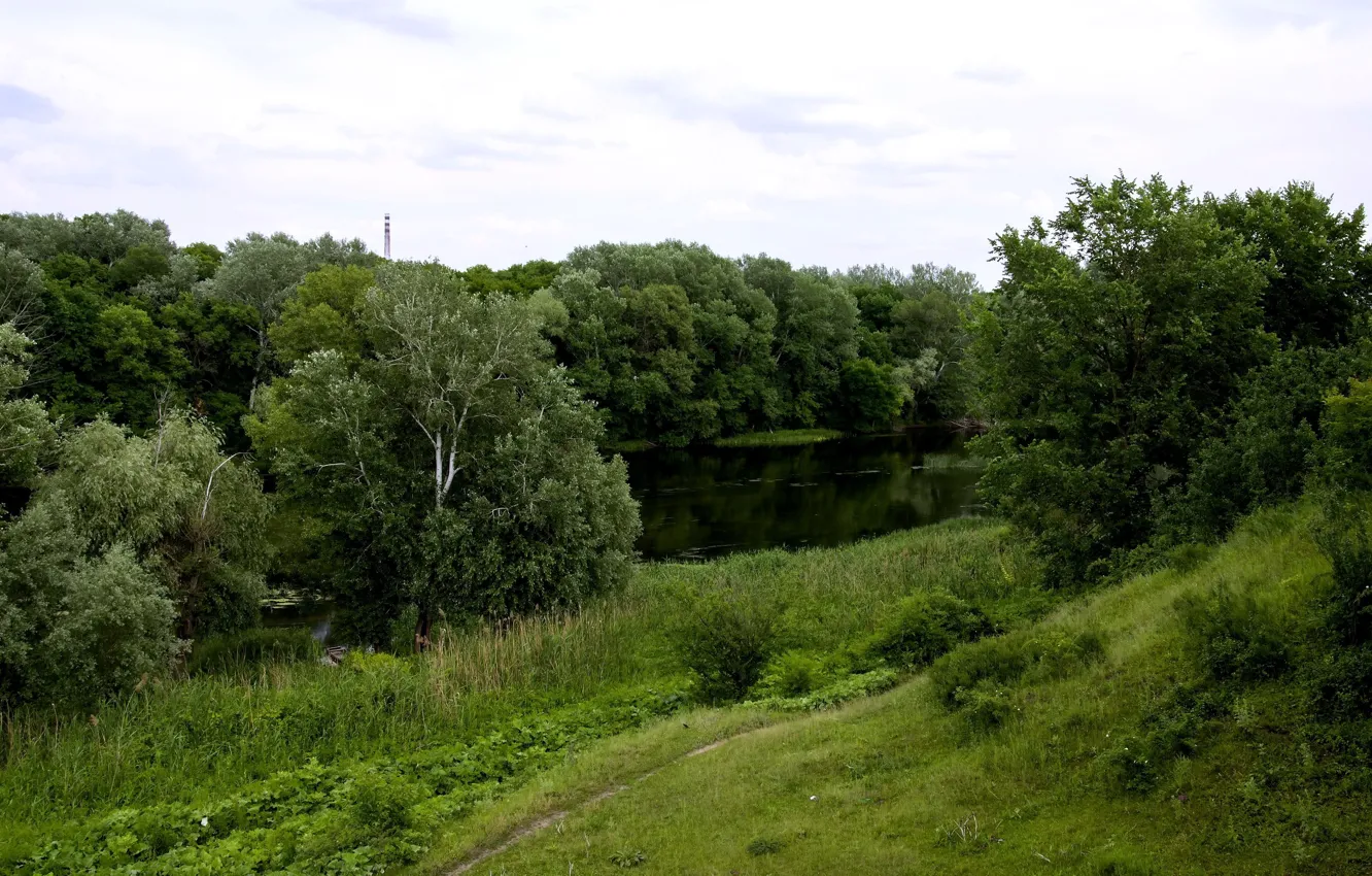Фото обои трава, деревья, река, тропа, Украина, Слобожанщина, Северский Донец