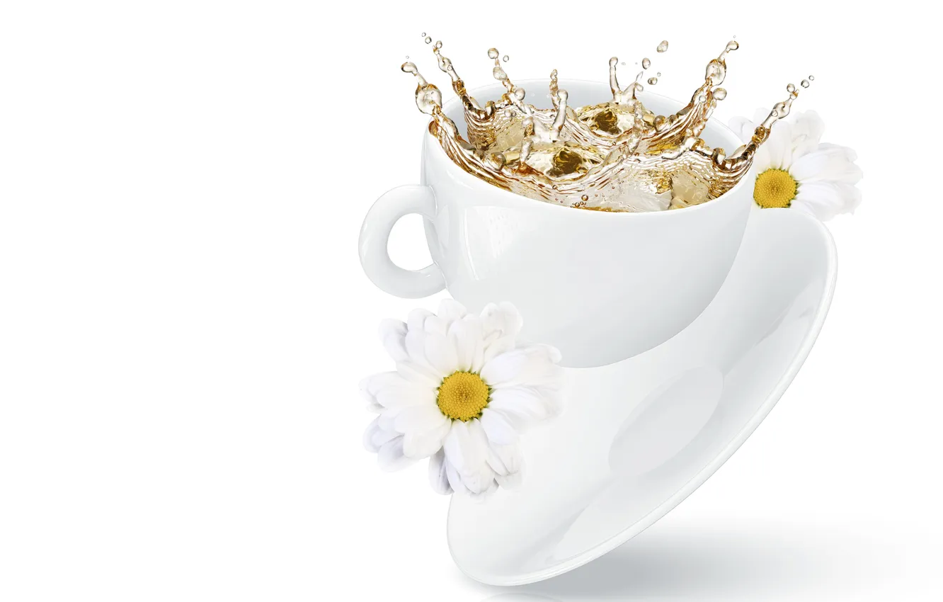 Фото обои цветы, брызги, чай, чашка, хризантемы