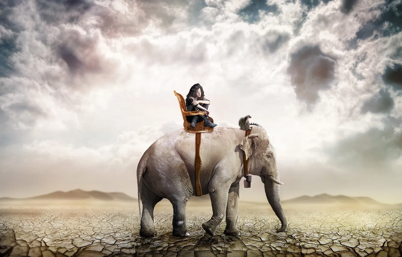 Фото обои девушка, пустыня, слон