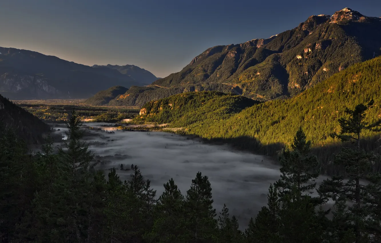 Фото обои лес, деревья, горы, туман, скалы, долина, Канада, Сквамиш