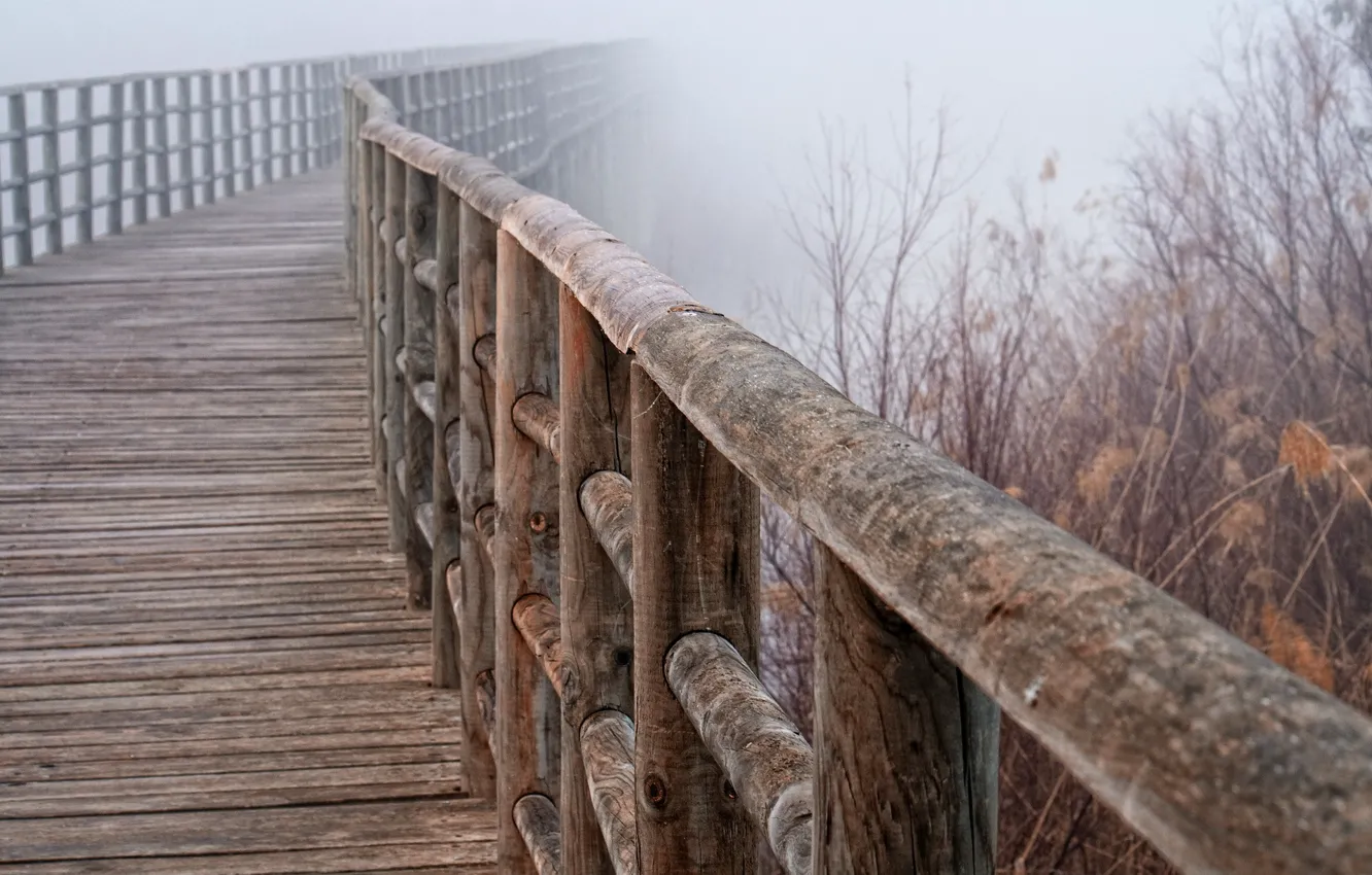 Фото обои макро, мост, туман, перила