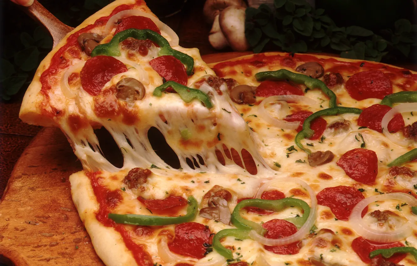 Фото обои грибы, сыр, лук, пицца, помидор, оливки, колбаса, блюдо