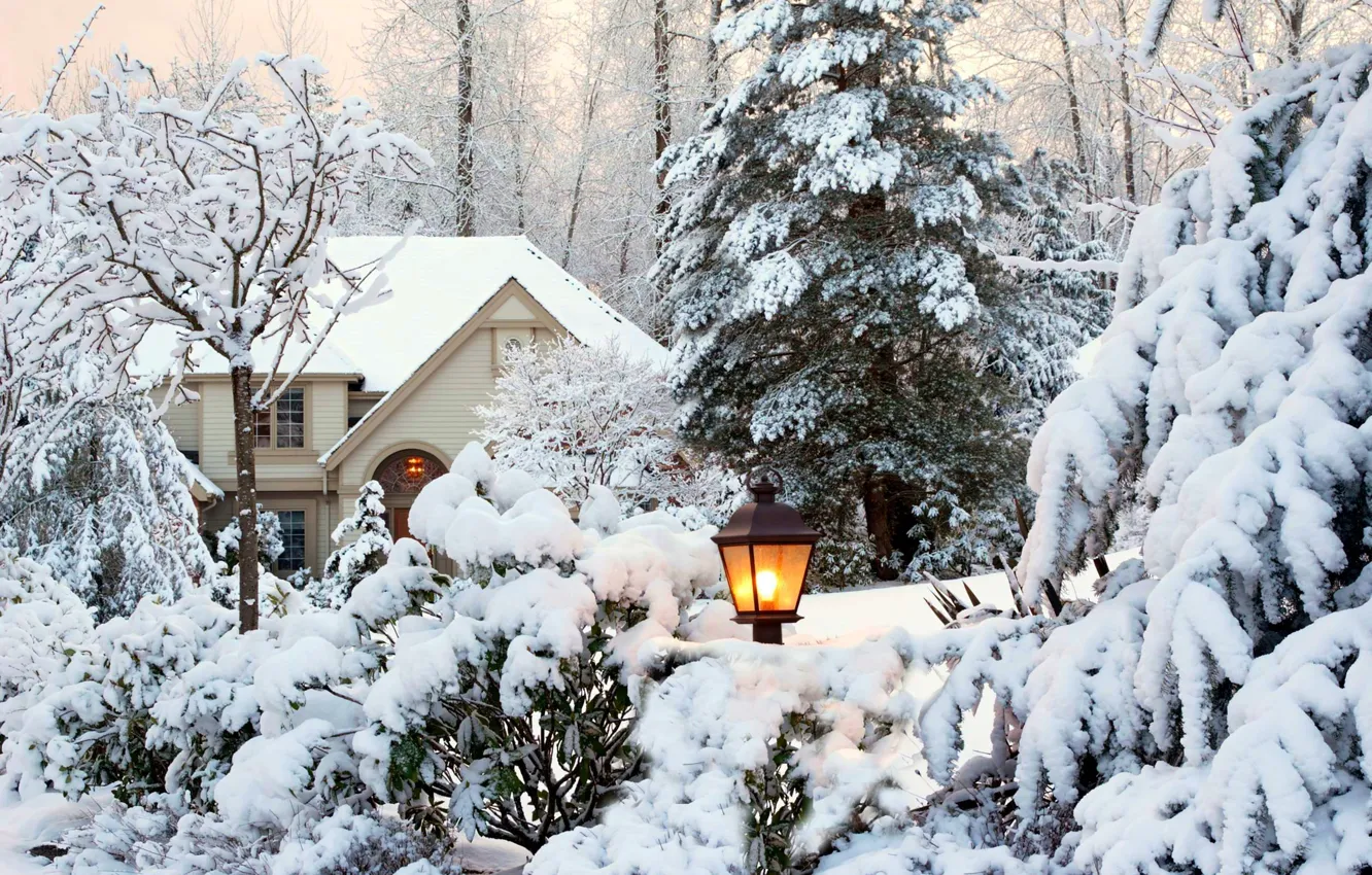 Фото обои зима, небо, снег, деревья, пейзаж, природа, дом, парк