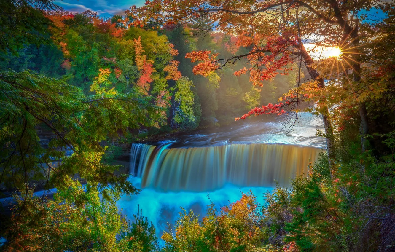 Фото обои осень, лес, деревья, река, водопад, Мичиган, Michigan, Tahquamenon Falls State Park