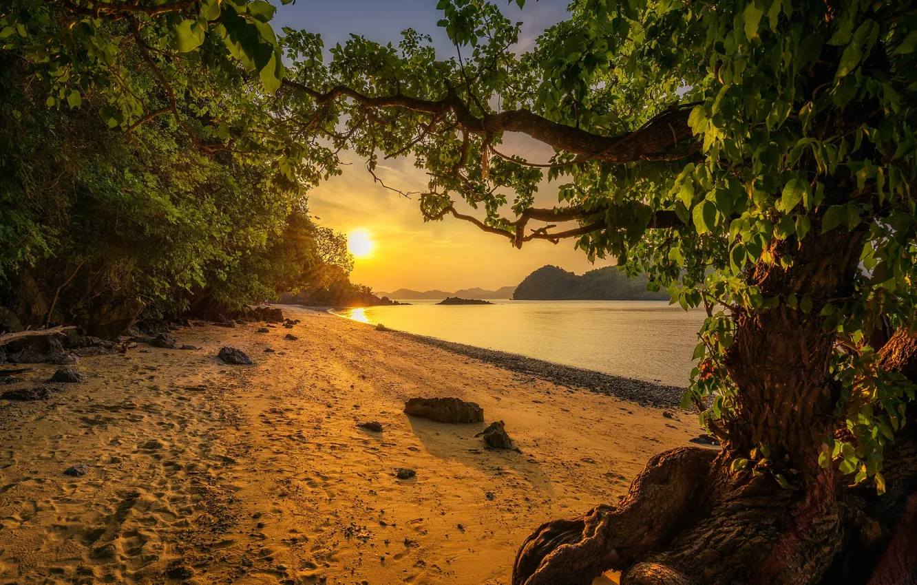 Фото обои песок, море, пляж, деревья, пейзаж, закат, берег, остров