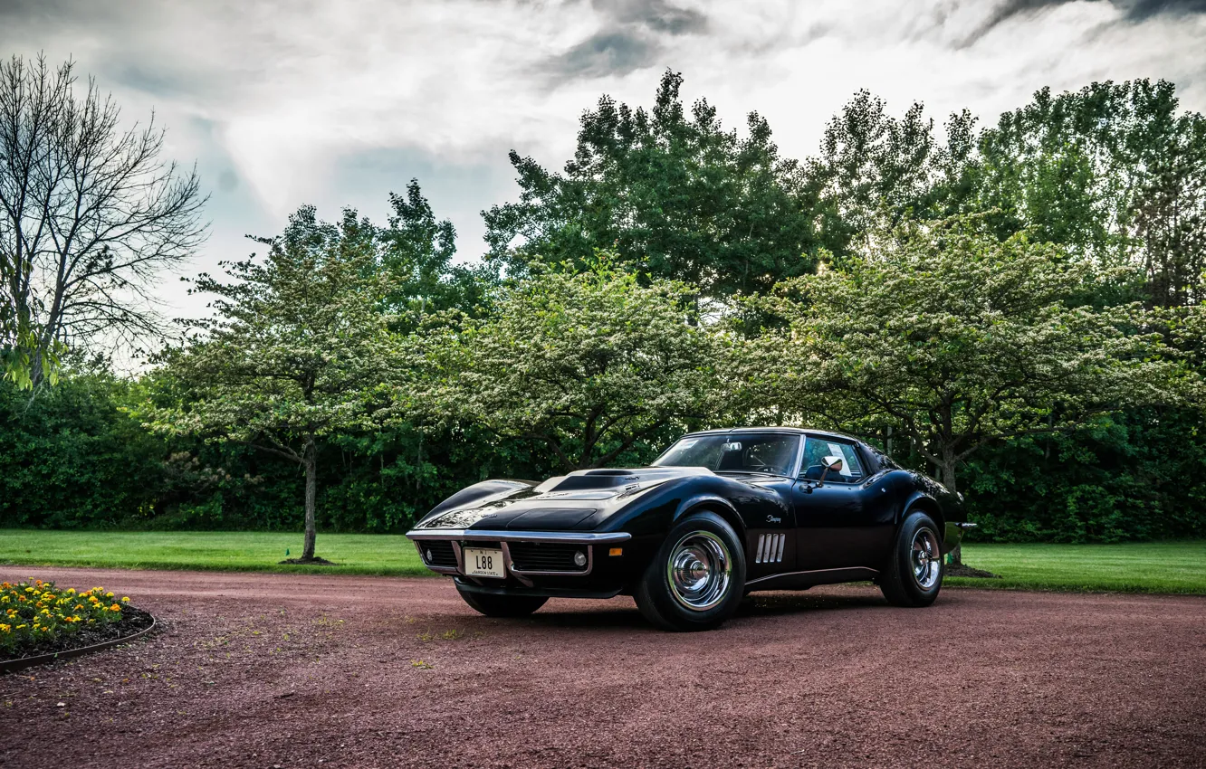 Фото обои Corvette, 1969, шевроле, Coupe, Stingray, корветт, стингрей