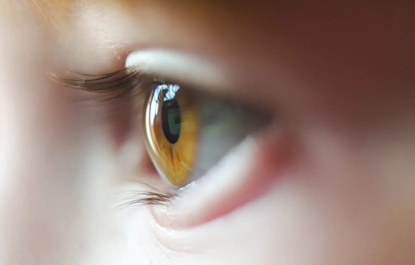 Фото обои woman, eye, eyelids