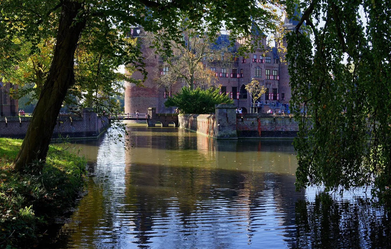 Фото обои солнце, деревья, ветки, пруд, парк, замок, листва, Нидерланды