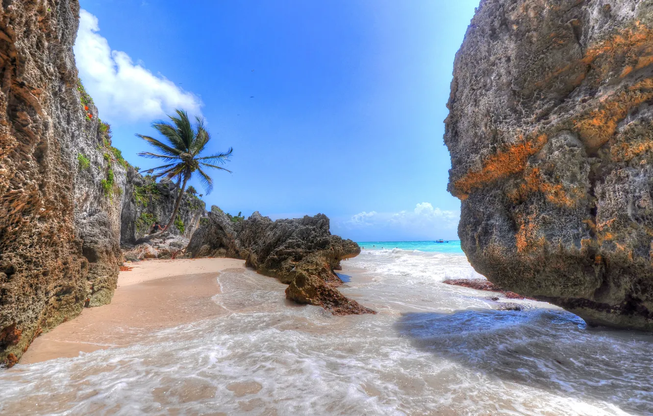 Фото обои песок, море, пальма, камни, скалы, Мексика, Канкун