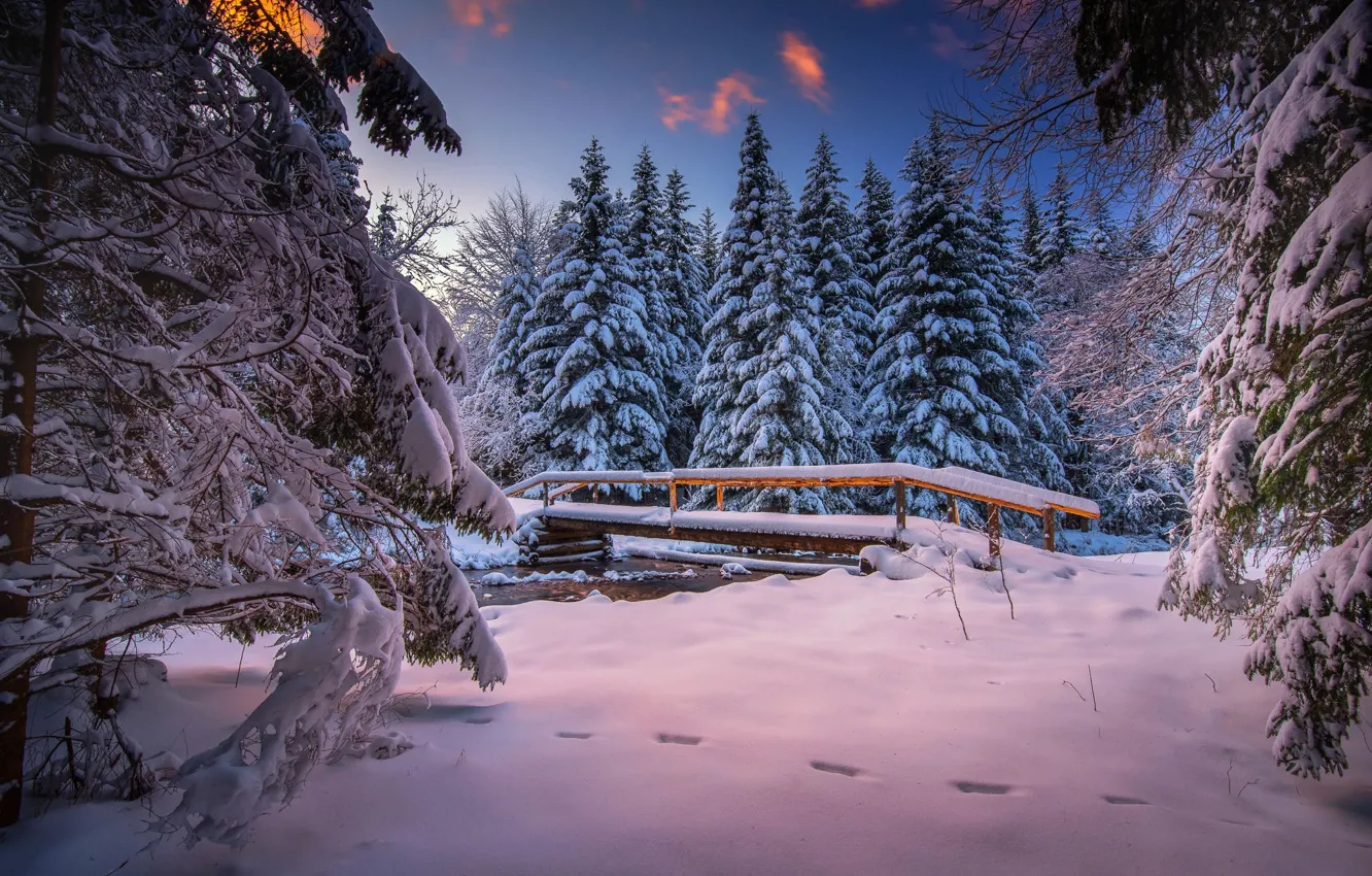 Фото обои зима, снег, деревья, пейзаж, природа, ели, мостик, речушка