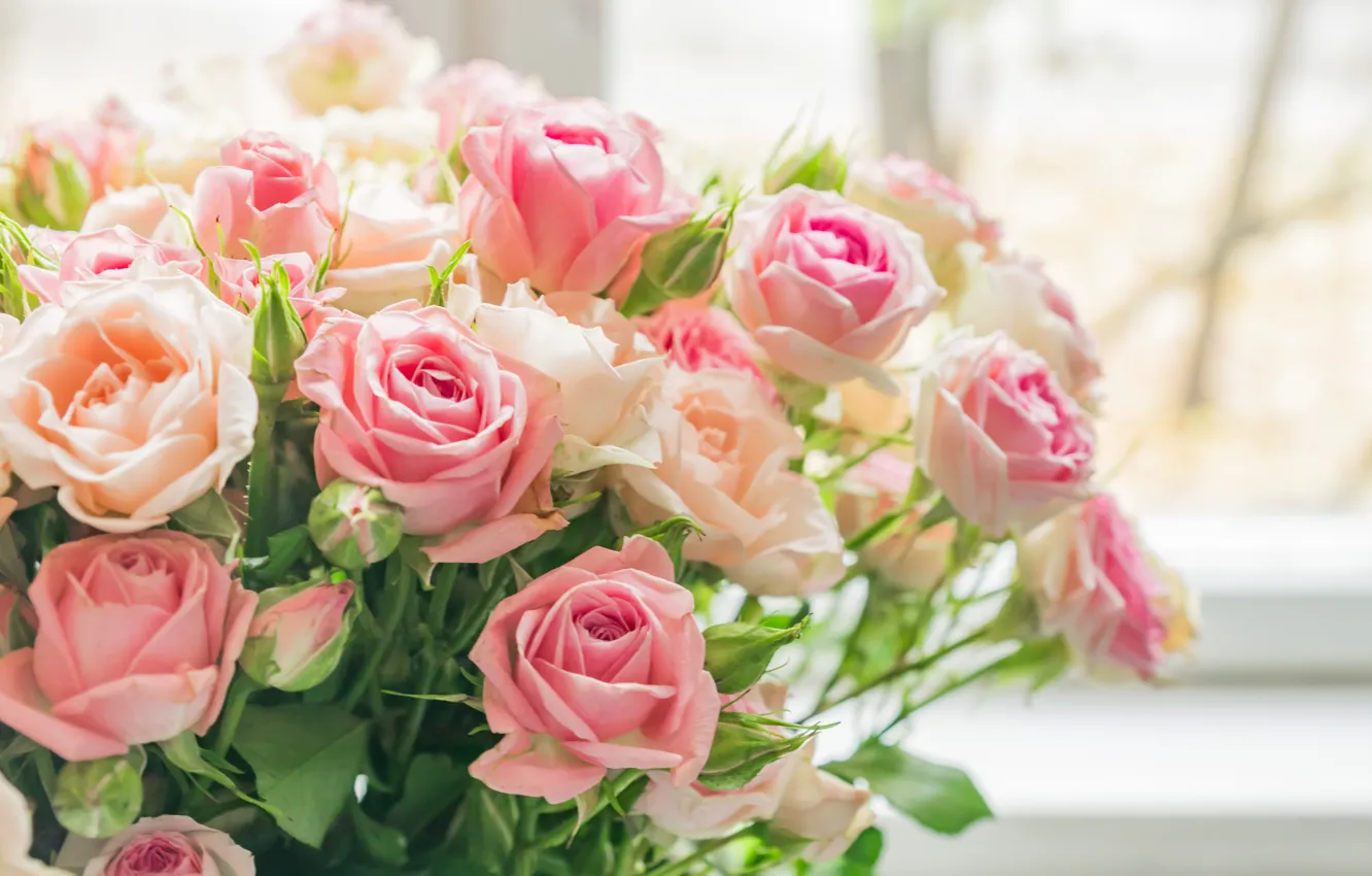 Фото обои розы, букет, нежные, розовые, бежевые, Yarovoy Aleksandr