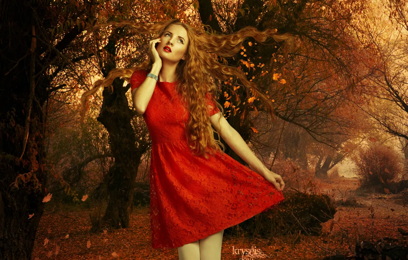 Фото обои осень, листья, девушка, деревья, лицо, волосы, макияж, красное платье