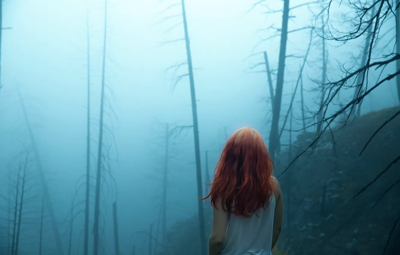 Фото обои лес, девушка, туман, волосы, Lichon