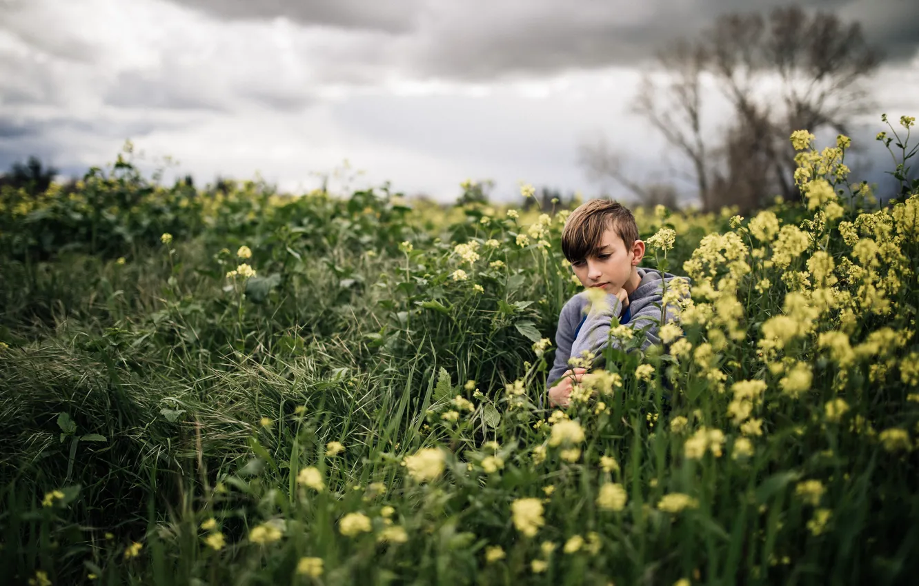Фото обои поле, цветы, мальчик
