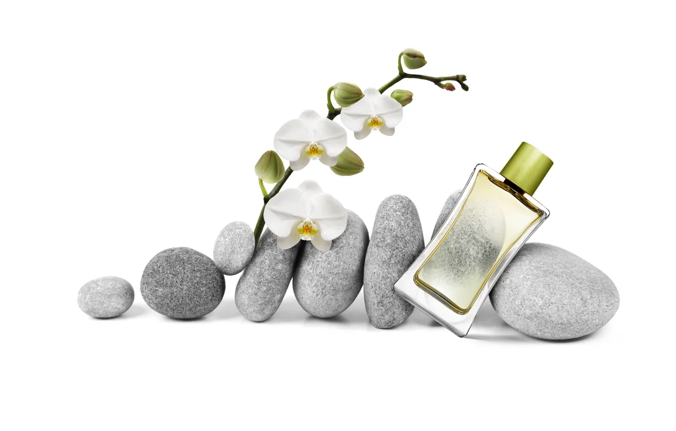 Фото обои стекло, камни, бутылка, духи, орхидея, спа, парфюм