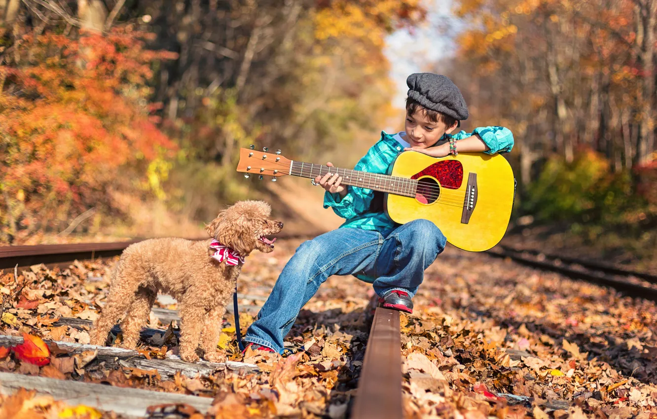 Фото обои дорога, осень, лес, природа, рельсы, гитара, собака, мальчик