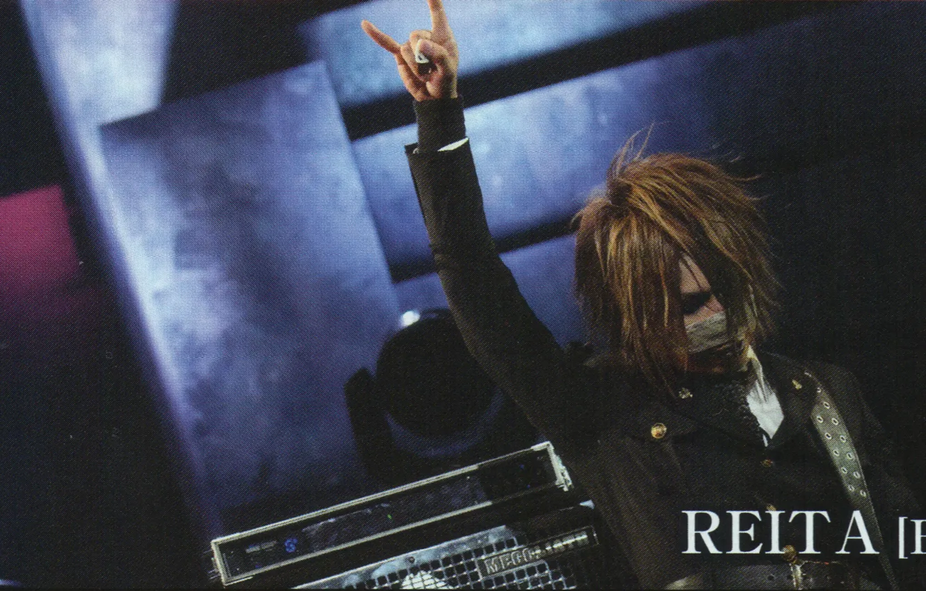 Фото обои bass, Japan, rock, man, The GazettE, Reita, J-Rock