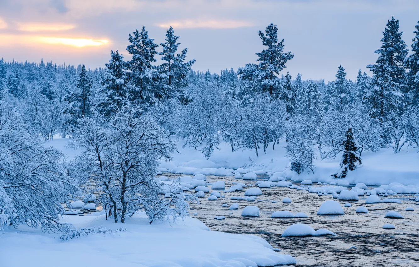 Фото обои зима, снег, деревья, пейзаж, река, елки, forest, river
