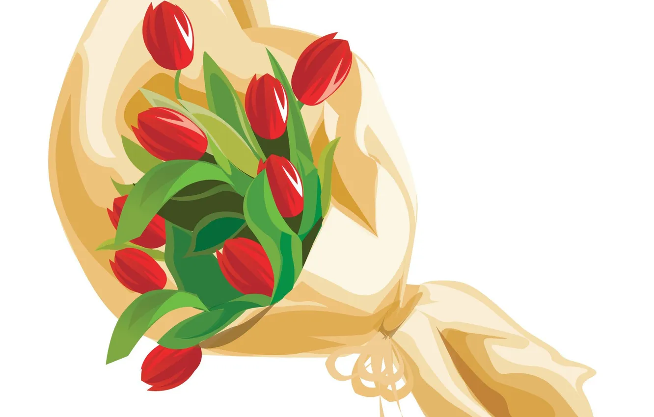 Фото обои цветы, букет, тюльпаны, красные, упаковка, белый фон
