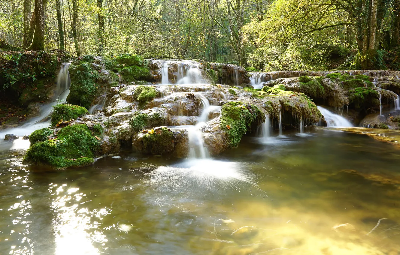 Фото обои forest, river, nature, waterfall, stream