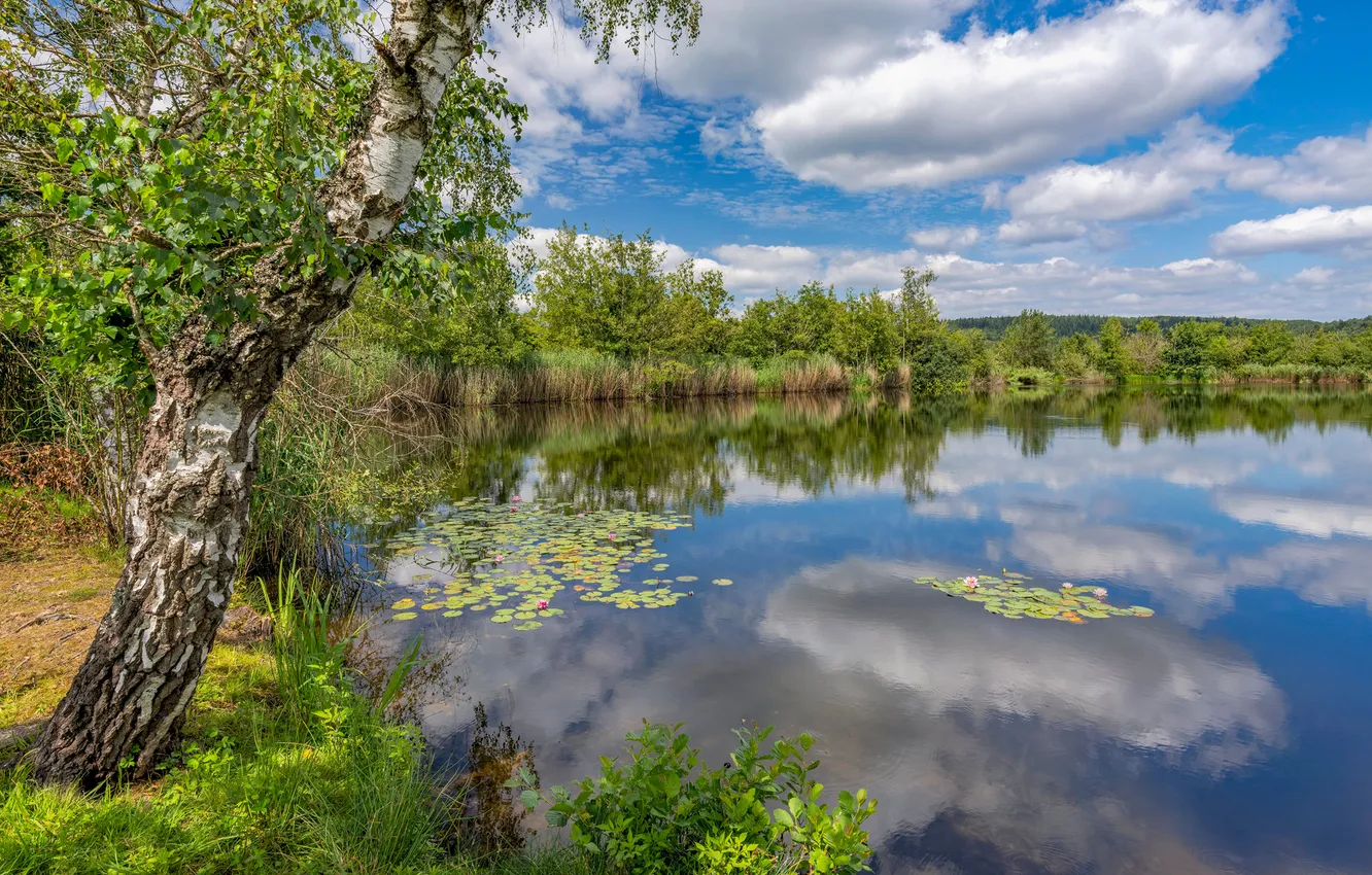 Фото обои облака, озеро, отражение, Германия, Niederkail