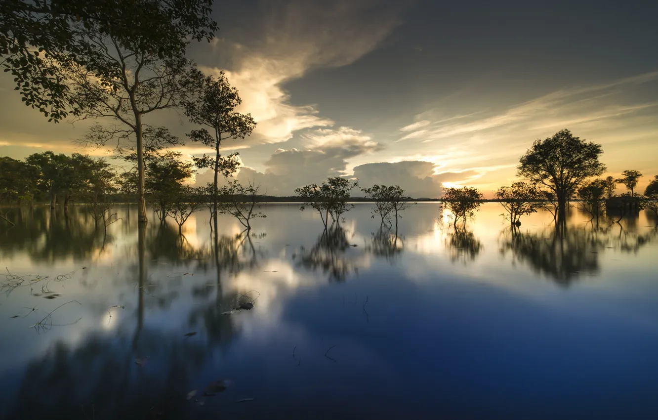 Фото обои облака, деревья, озеро, отражение
