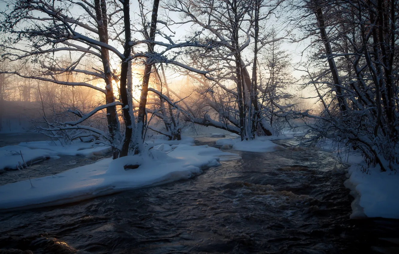 Фото обои зима, природа, река