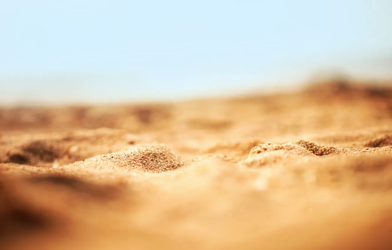 Фото обои песок, пляж, макро, природа, sand