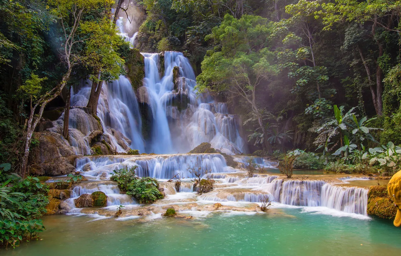 Фото обои скала, водопад, поток, заповедник, Лаос, Tat Kuang Si Bear Rescue Centre