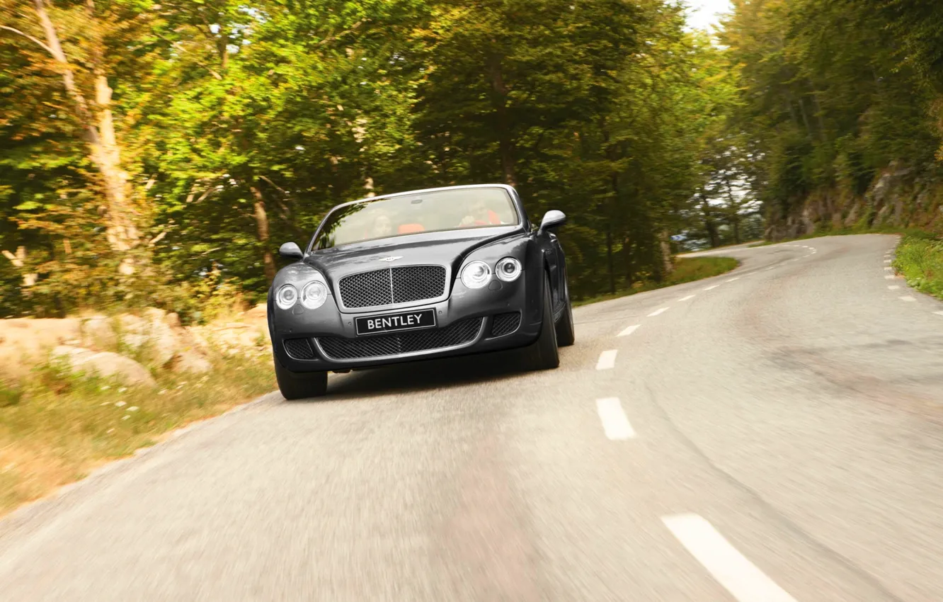 Фото обои Bentley, Continental, Дорога, Машина, Серый, Бентли, GTC, Передок