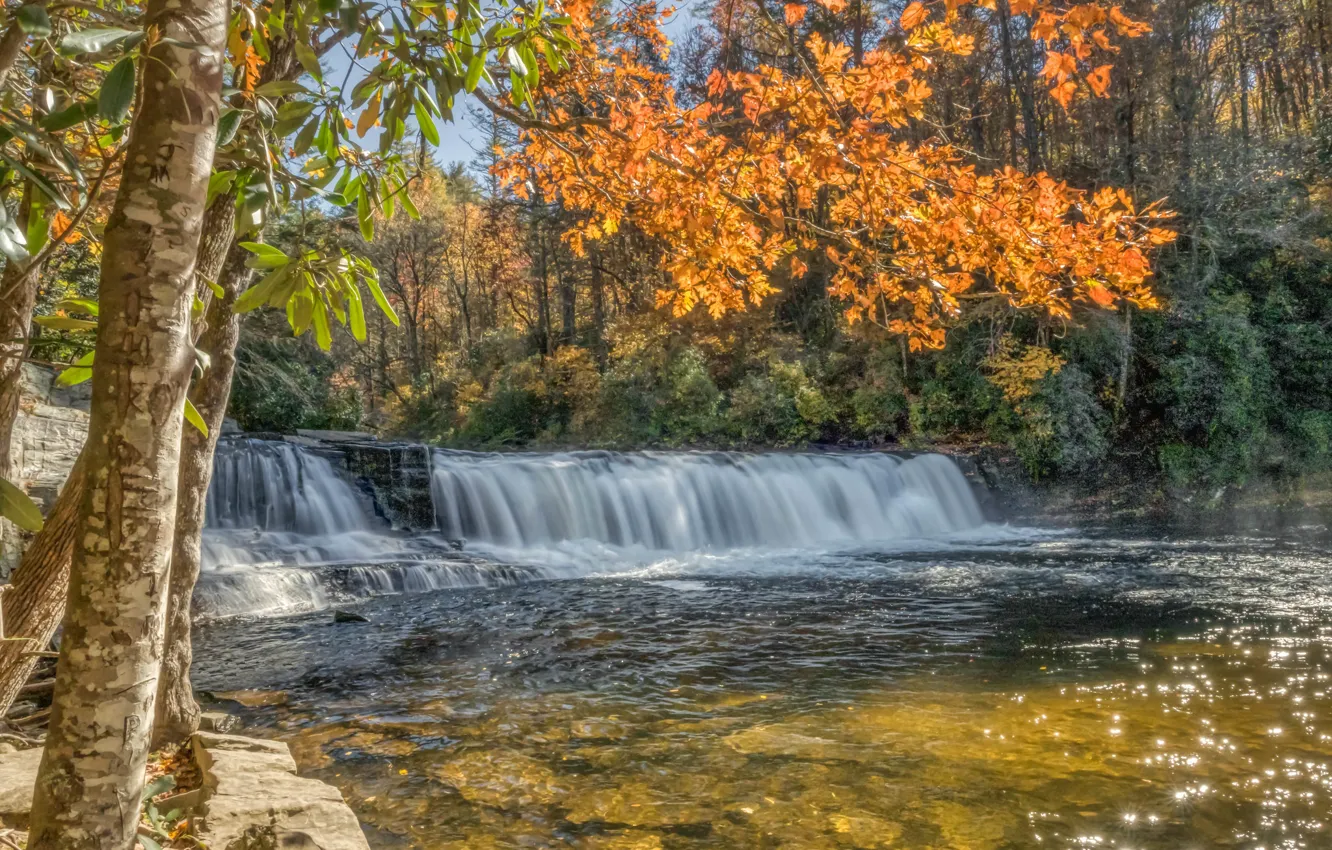 Фото обои осень, лес, деревья, ветки, река, водопад, каскад, North Carolina