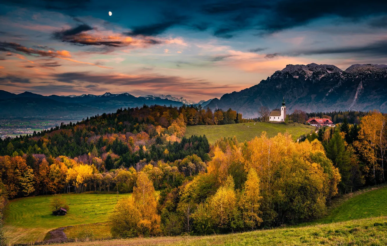 Фото обои осень, лес, горы