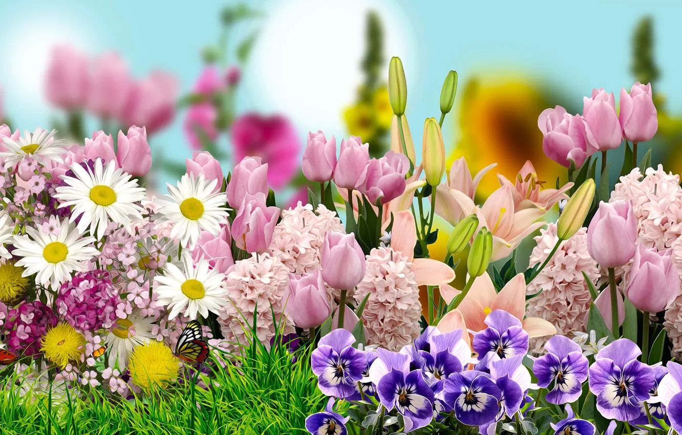 Фото обои grafika, kwiaty, tulipany