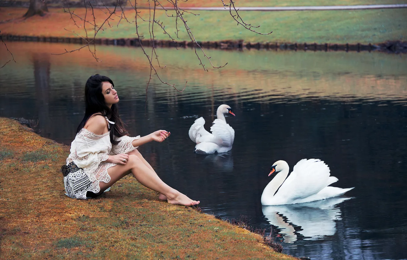 Фото обои девушка, поза, озеро, сидит, лебеди