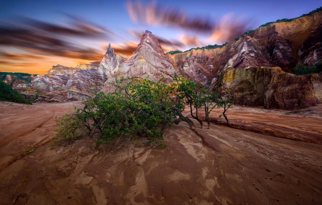 Фото обои небо, облака, деревья, горы