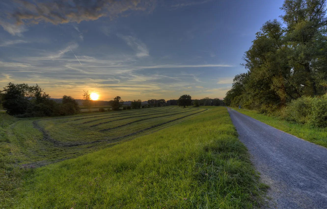 Фото обои дорога, поле, деревья, закат