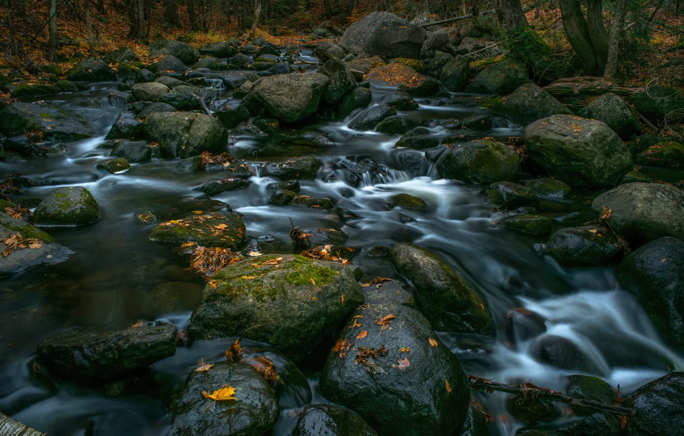 Фото обои осень, лес, листья, деревья, ручей, камни, водопад