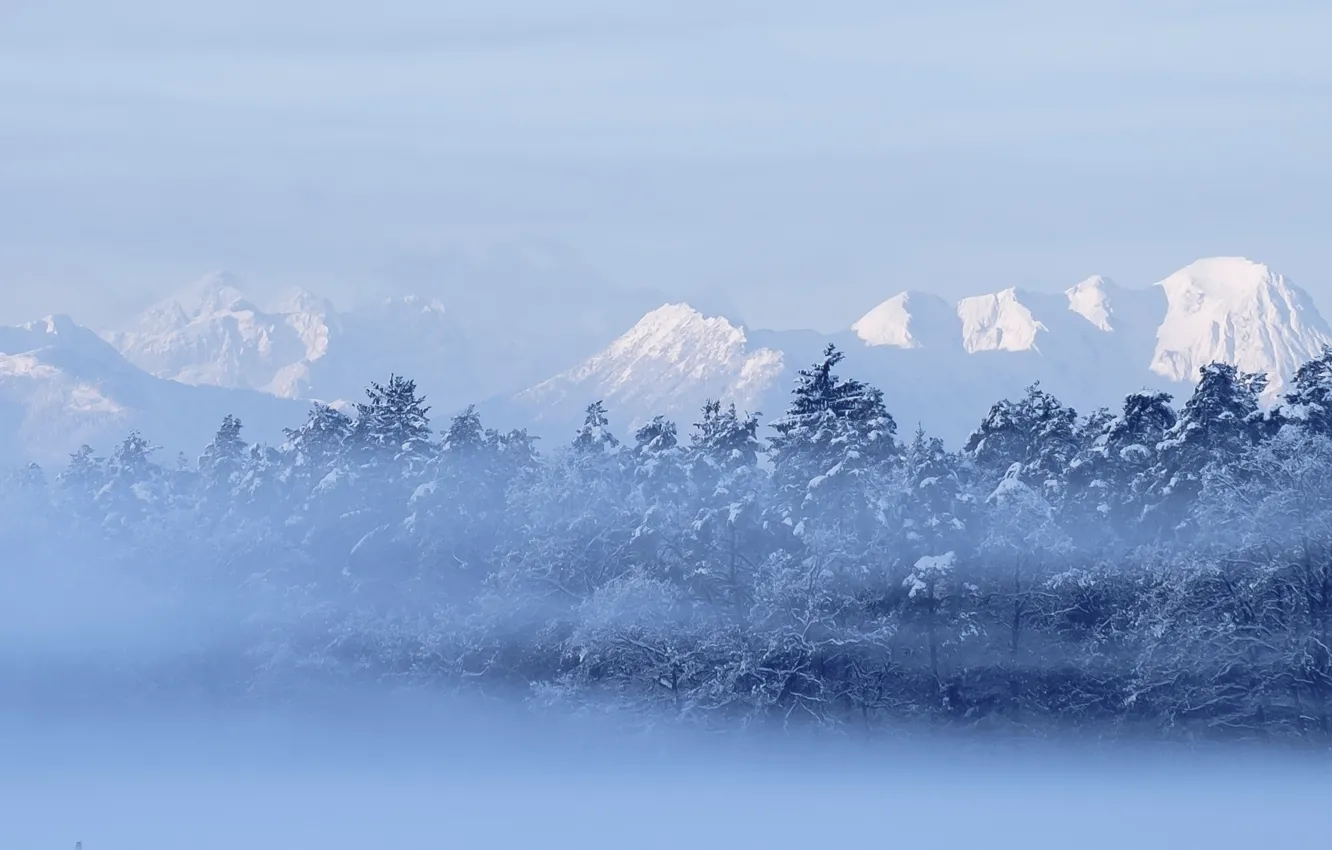 Фото обои зима, лес, горы, природа, туман
