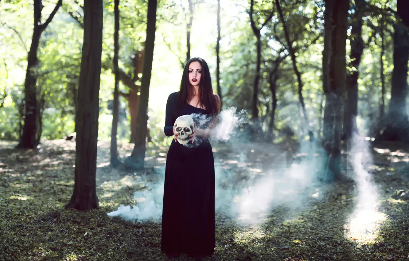Фото обои девушка, дым, череп, Smoke and Bone