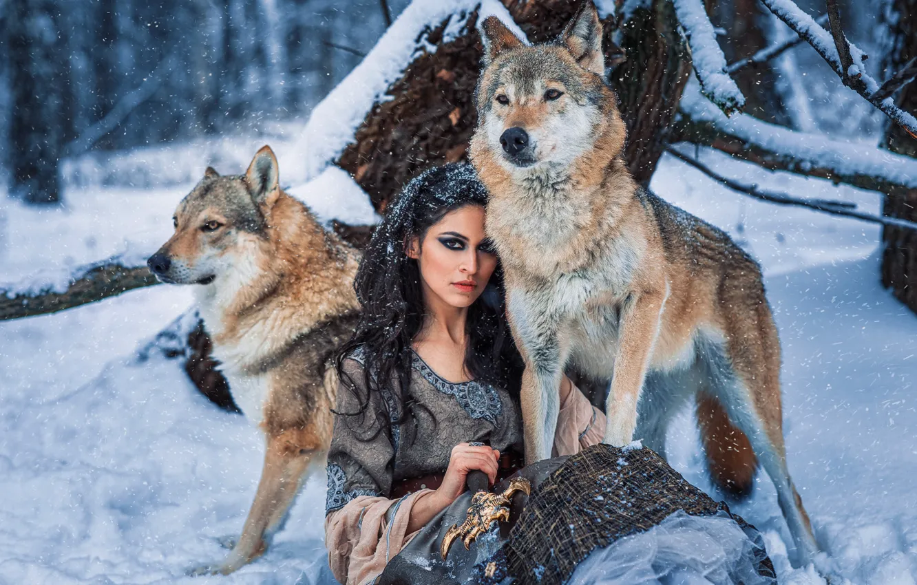 Фото обои зима, лес, взгляд, девушка, снег, платье, брюнетка, волки