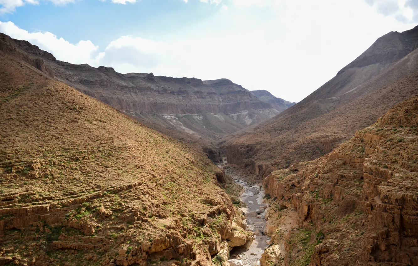 Фото обои Nature, Yellow, Wild, Summer, River, Stone, Desert, Israel