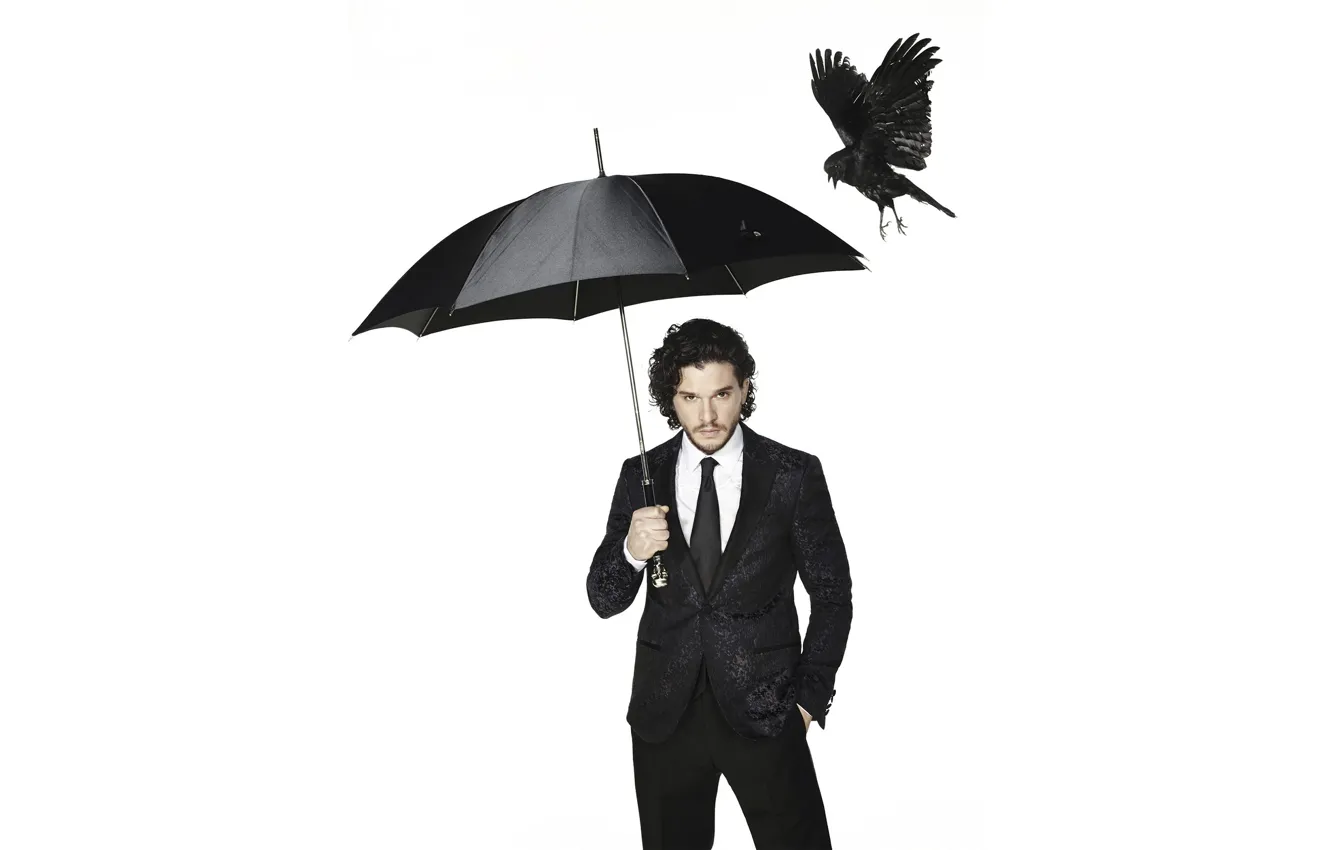 Фото обои птица, черный, зонт, фотограф, костюм, газета, актер, белый фон