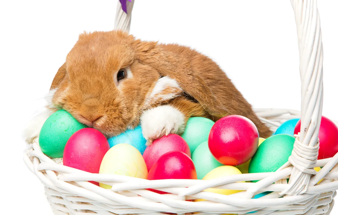 Фото обои корзина, кролик, Пасха, happy, rabbit, spring, Easter, eggs