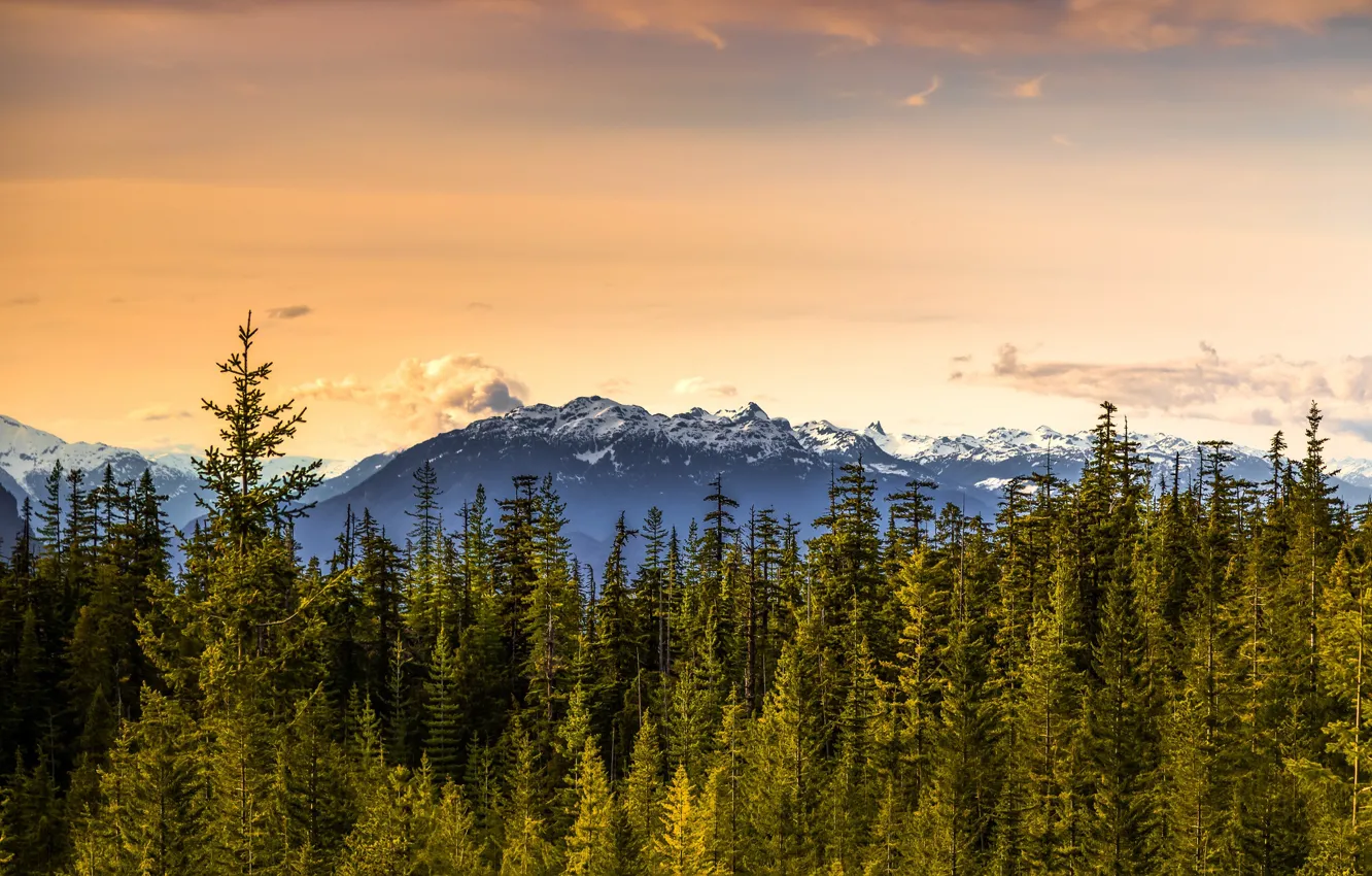 Фото обои Canada, British Columbia, Squamish