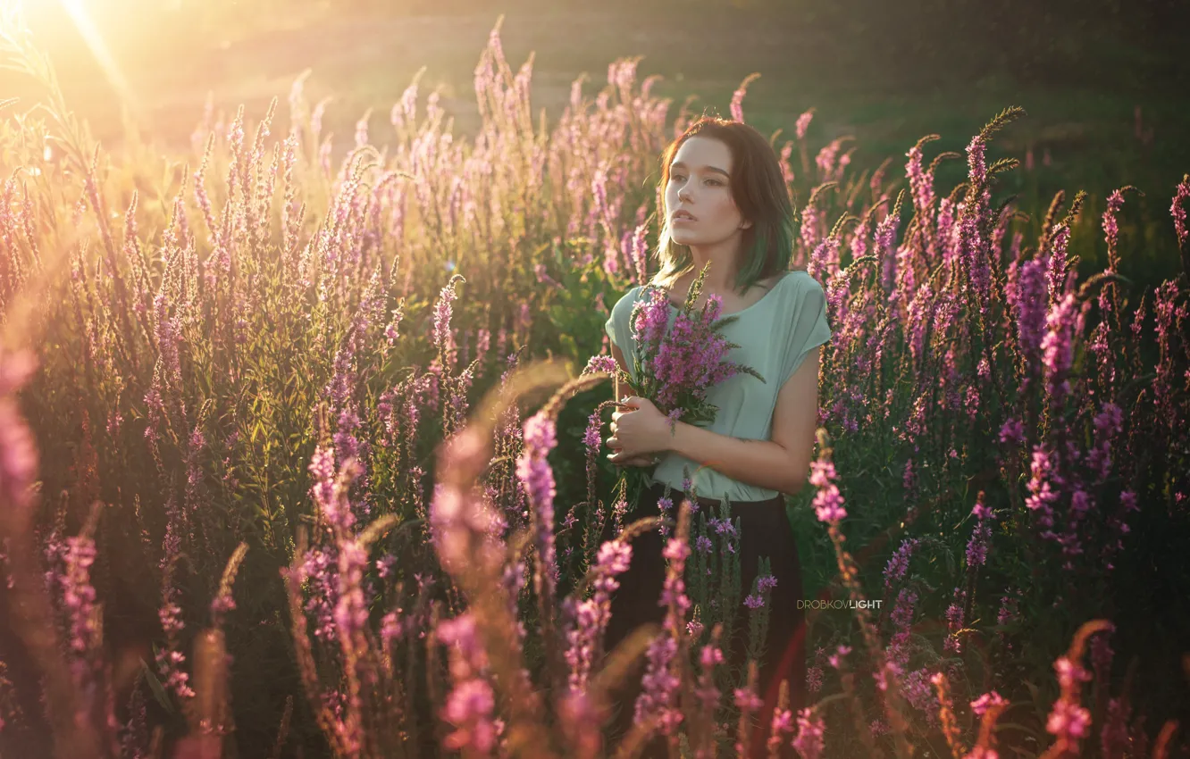 Фото обои девушка, цветы, настроение, луг, Alexander Drobkov-Light, Мария Ларина