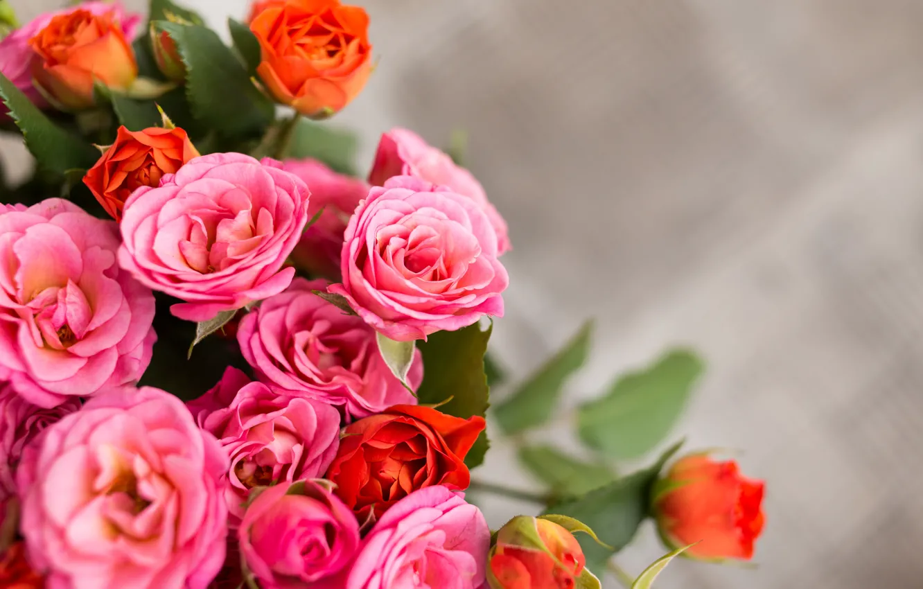 Фото обои цветы, букет, красные, розовые, бутоны
