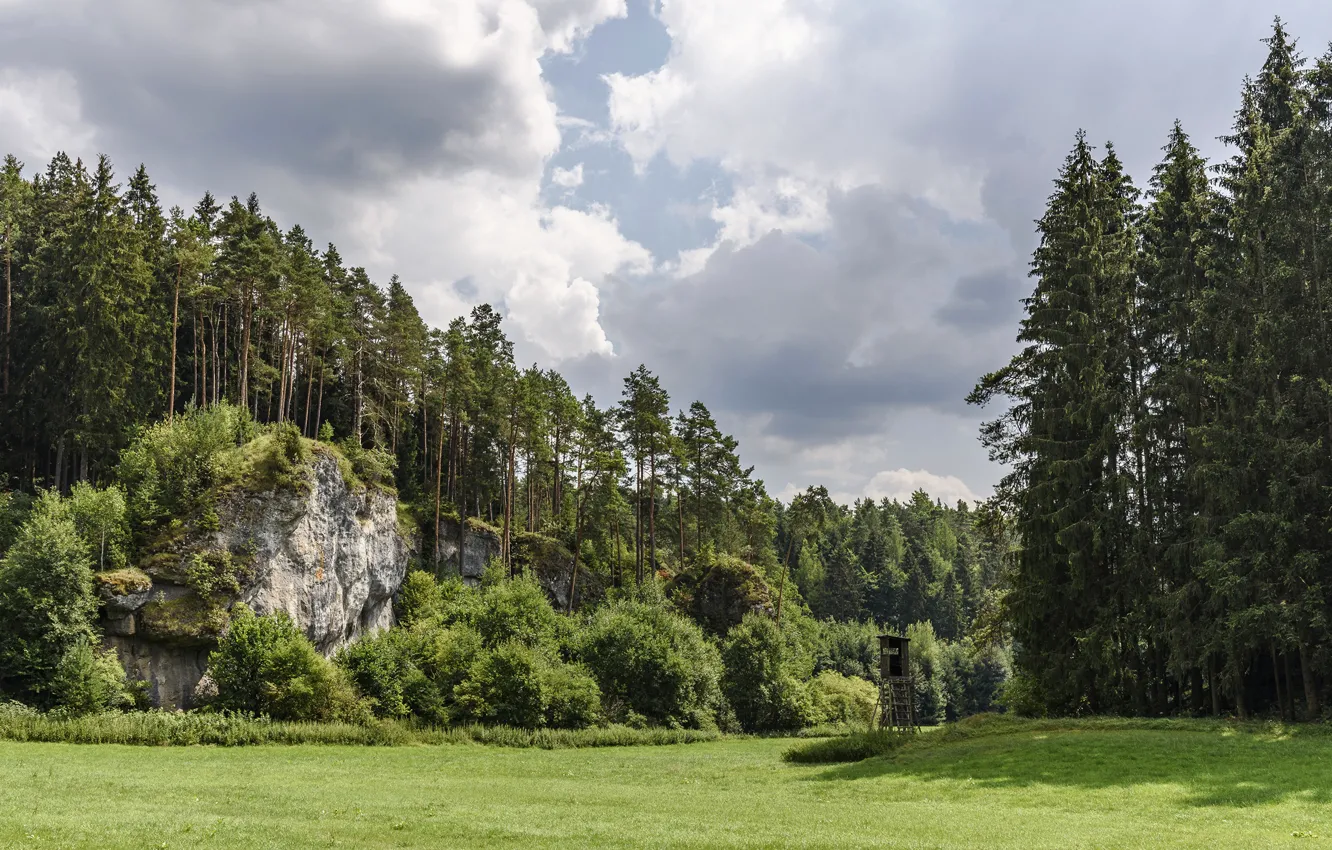 Фото обои лес, солнце, скалы, Бавария, Hollfeld