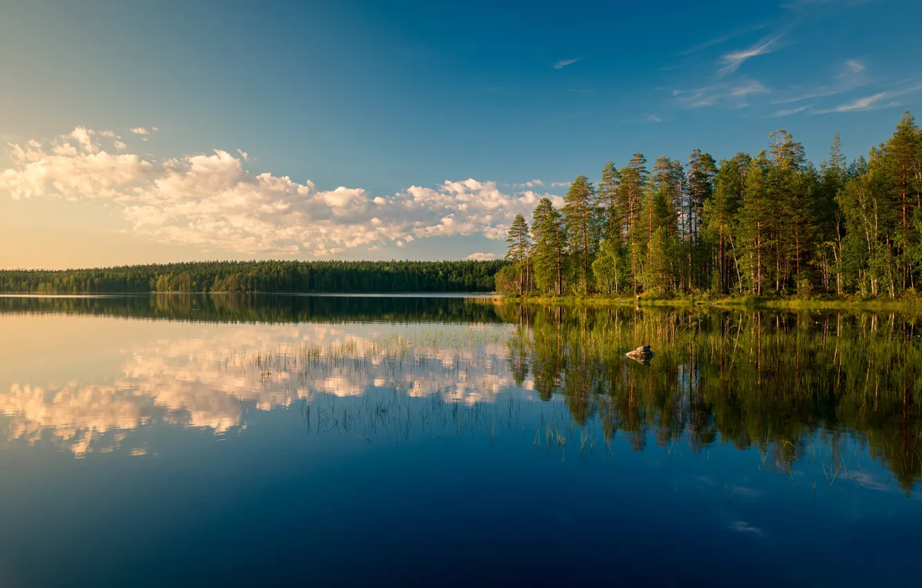 Фото обои лес, озеро, отражение, Финляндия, Finland, Kattilajärvi Lake, Озеро Каттилаярви