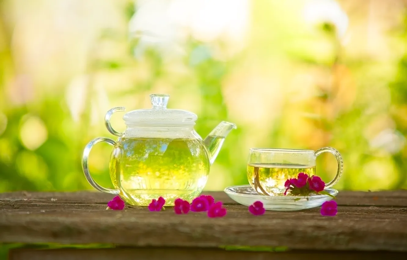 Фото обои цветы, зеленый, чай, напиток