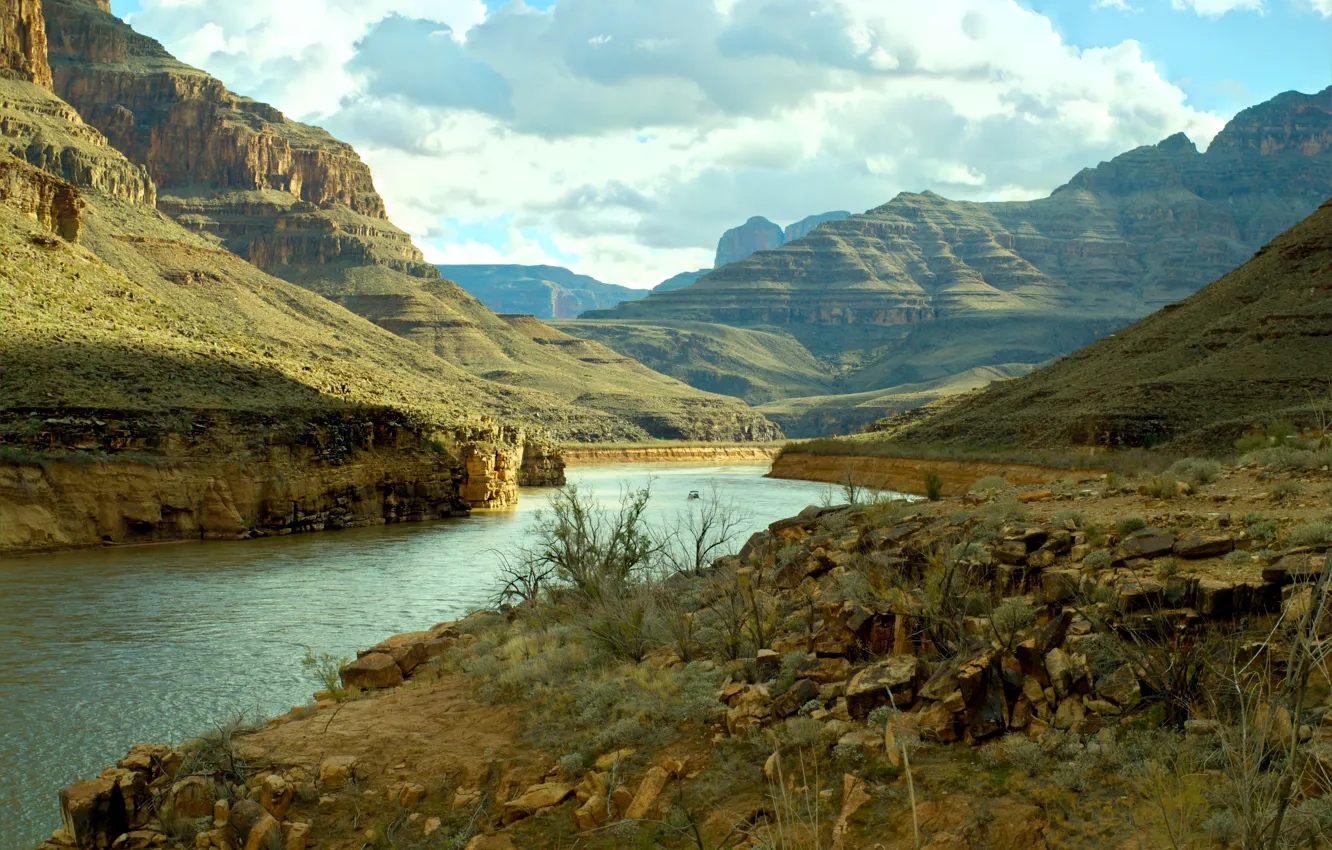 Фото обои река, USA, США, river, Гранд-Каньон, Grand Canyon